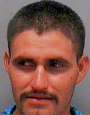 Guerra Aldonaldo - Lee County, FL 