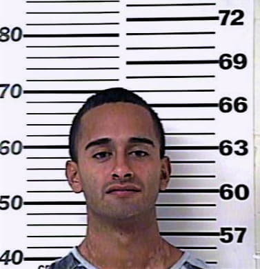 Castaneda Anthony - Henderson County, TX 
