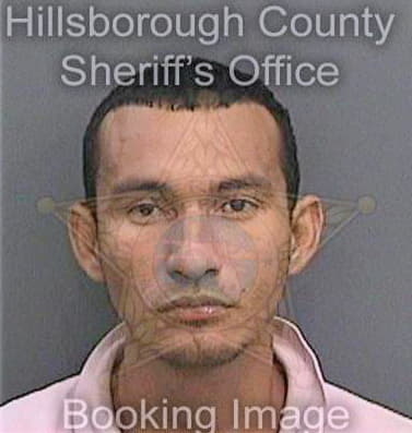Osabasrivera Mauricio - Hillsborough County, FL 