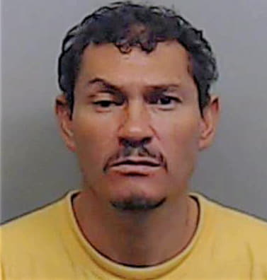 Benitez-Pineda Victor - Fulton County, GA 