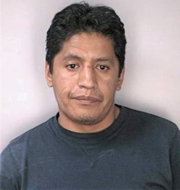 Resendizmendoza Andres - Hillsborough County, FL 