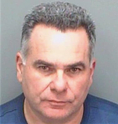 Diaz Joseph - Pinellas County, FL 