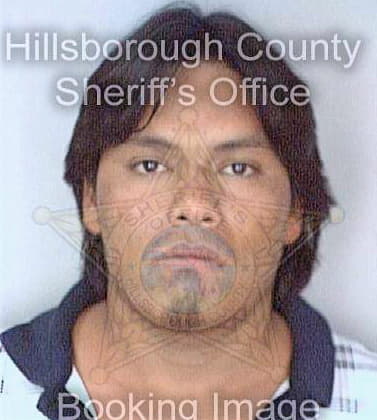 Ramos Arunifo - Hillsborough County, FL 