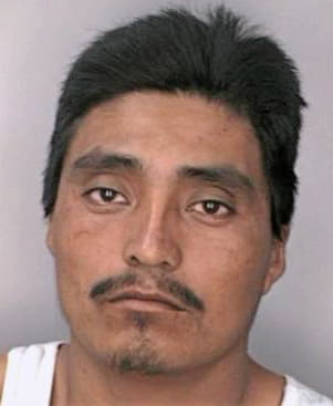 Santizgomez Fernando - Hillsborough County, FL 
