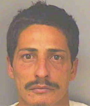 Fragoso Jesus - Polk County, FL 