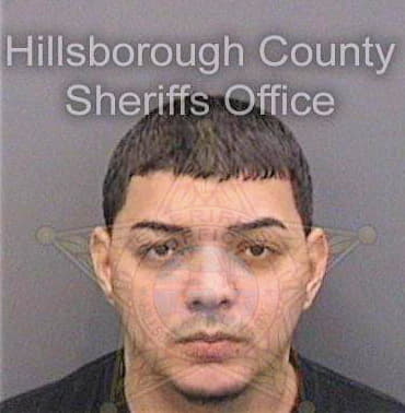 Coralesserra Juan - Hillsborough County, FL 