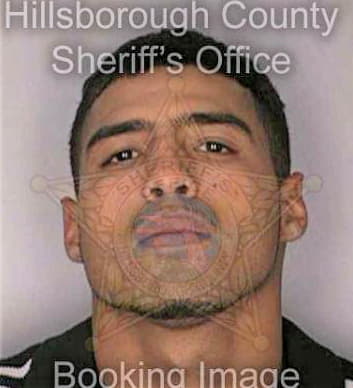 Feblez Ramon - Hillsborough County, FL 