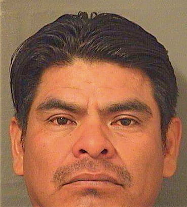 Perezperez Andres - PalmBeach County, FL 