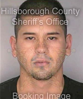 Lopez Anthony - Hillsborough County, FL 