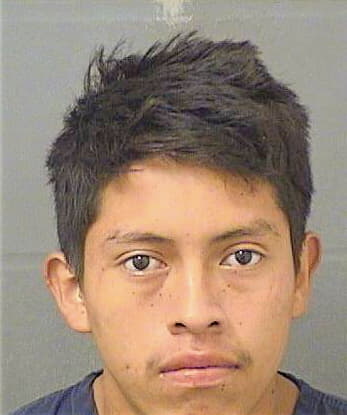 Perez Daniel - PalmBeach County, FL 