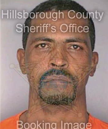Garcia Luis - Hillsborough County, FL 