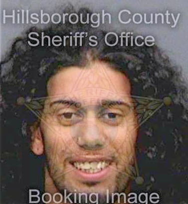 Albaladejoubiles Ricardo - Hillsborough County, FL 