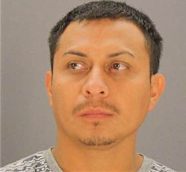 Arellanoandrade Cesar - Dallas County, TX 