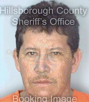 Garcia Gerardo - Hillsborough County, FL 