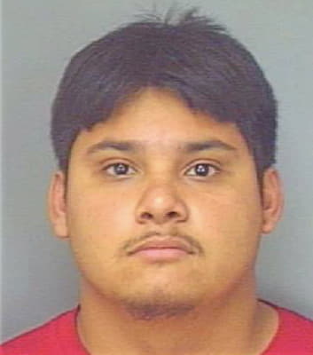 Silva Hector - Polk County, FL 