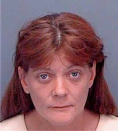 Andrews Joann - Pinellas County, FL 