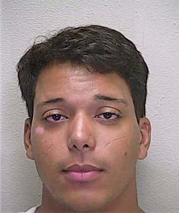 Milanese Jonathon - Marion County, FL 