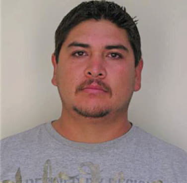 Gonzalez Luis - Hillsborough County, FL 