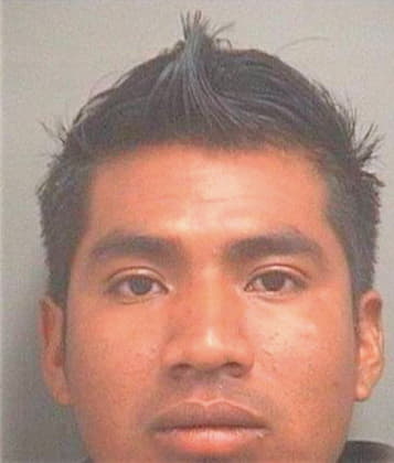 Perez Manrique - PalmBeach County, FL 