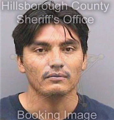 Garciasalas Raul - Hillsborough County, FL 