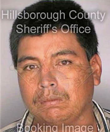 Rojas Rofino - Hillsborough County, FL 