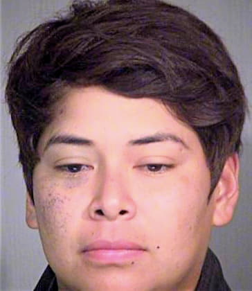 Sandoval Yamel - Maricopa County, AZ 