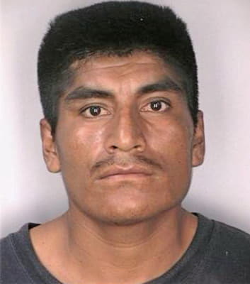 Hernandez Sirico - Hillsborough County, FL 