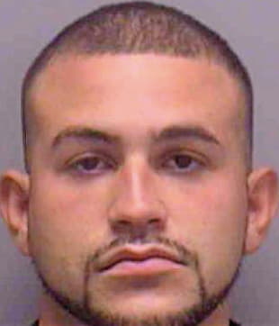 Fermin Alfredo - Lee County, FL 