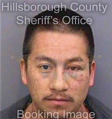 Sancheztellez David - Hillsborough County, FL 