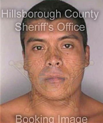 Martinez Felix - Hillsborough County, FL 