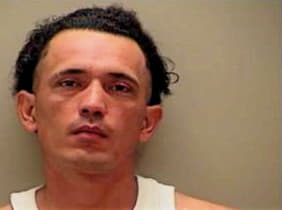 Hernandez Hugo - Wilson County, TN 