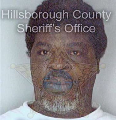 Hamilton John - Hillsborough County, FL 