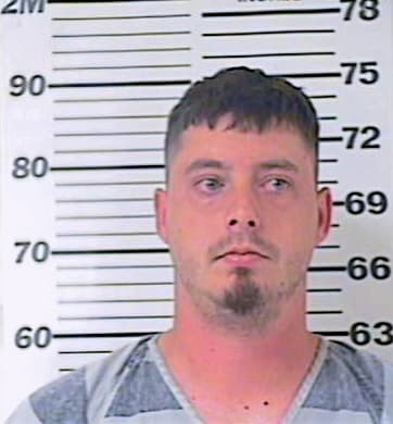 Griggs Brian - Henderson County, TX 