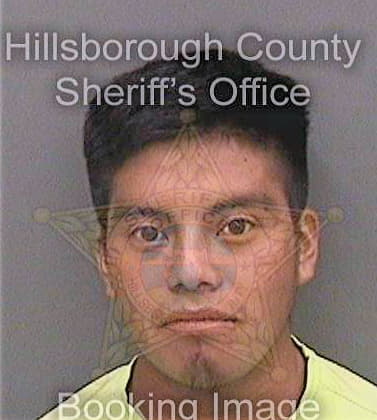 Jimenezpatishtan Marcelino - Hillsborough County, FL 