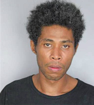Lewis Norman - Hillsborough County, FL 