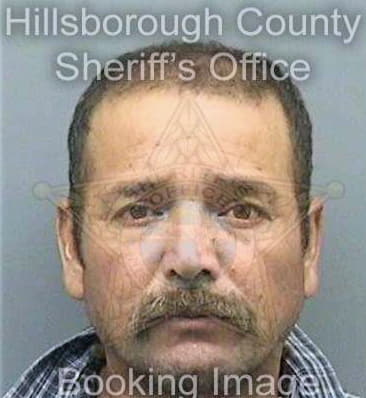 Hernandez Omar - Hillsborough County, FL 
