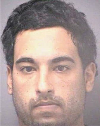 Martinez William - Hillsborough County, FL 
