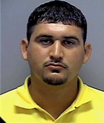 Benavides Cezar - Lee County, FL 