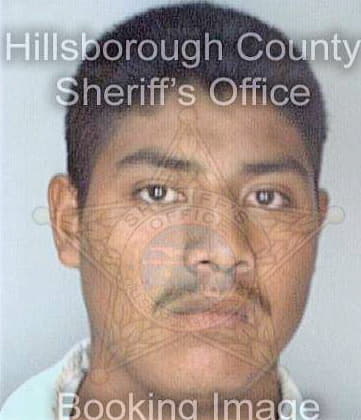 Jimenez Heizo - Hillsborough County, FL 