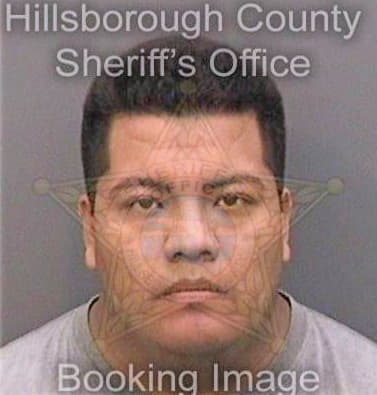 Tomasjuan Jorge - Hillsborough County, FL 