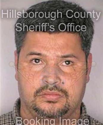 Castanon Mario - Hillsborough County, FL 
