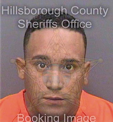 Maldonadodiaz Roberto - Hillsborough County, FL 