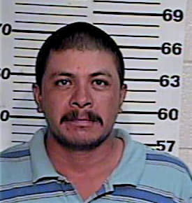 Hernandez Sergio - Hidalgo County, TX 