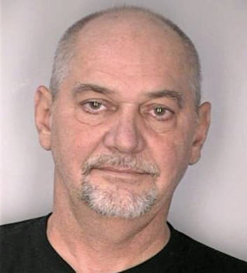 Swearingen Van - Hillsborough County, FL 
