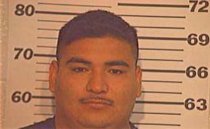 Villarreal Enrique - Hidalgo County, TX 