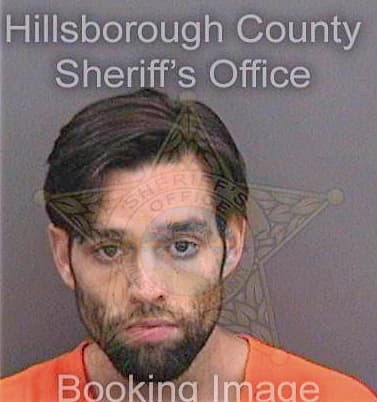 Merriman Christopher - Hillsborough County, FL 