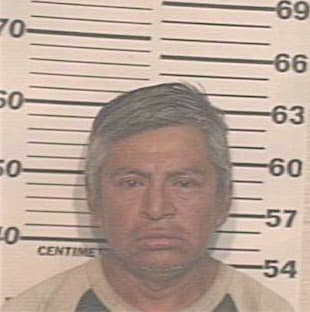 Garcia Enrique - Hidalgo County, TX 