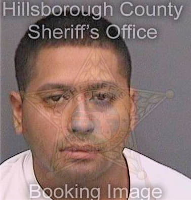Medina Joe - Hillsborough County, FL 