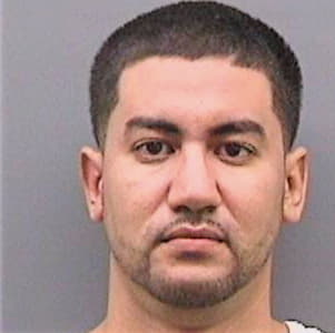 Cruzgomez Jose - Hillsborough County, FL 