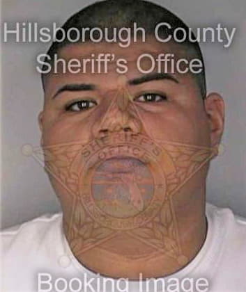Beltran Kenneth - Hillsborough County, FL 